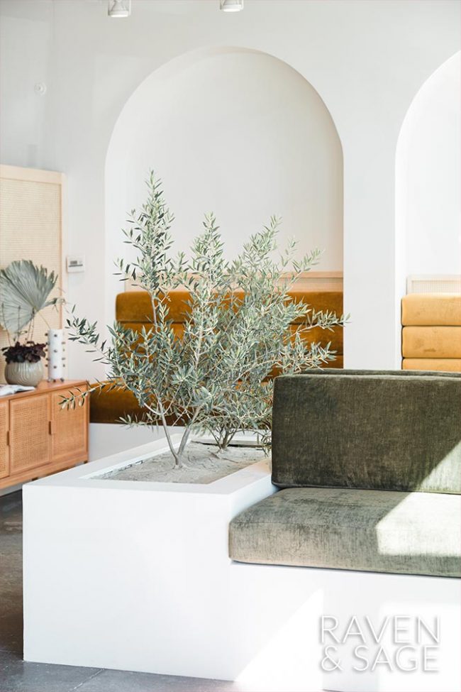 Waiting room with a small tree next planted next to a bench