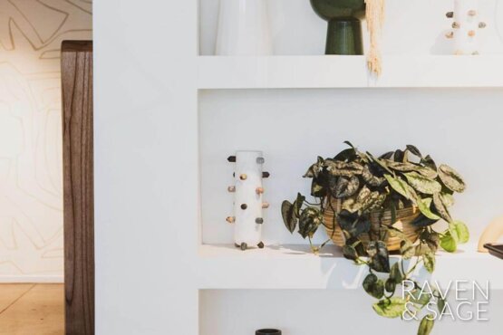 Plants and decor on a shelf at Raven & Sage Salon San Diego